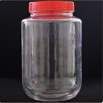 2LTR PG PRINT JAR